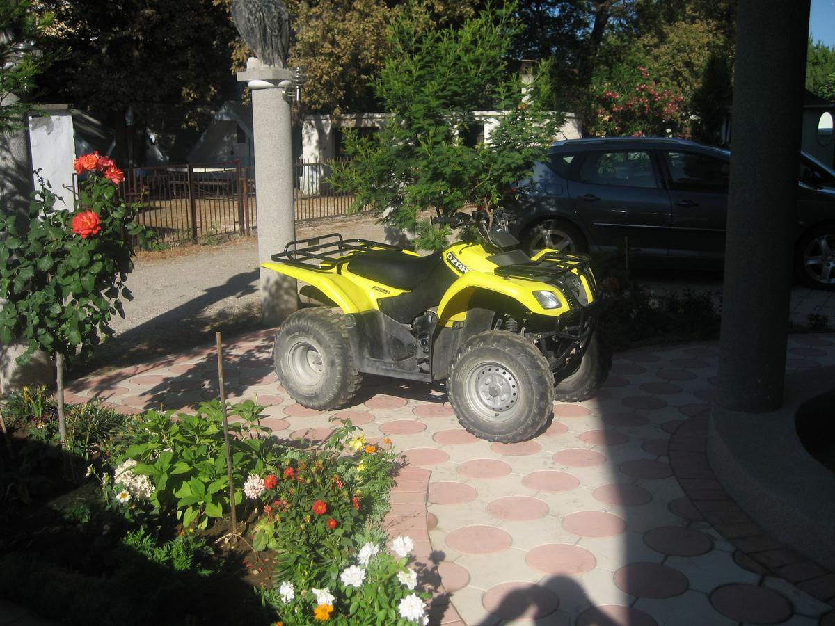 Guest House Vila Mimoza Ulcinj Extérieur photo